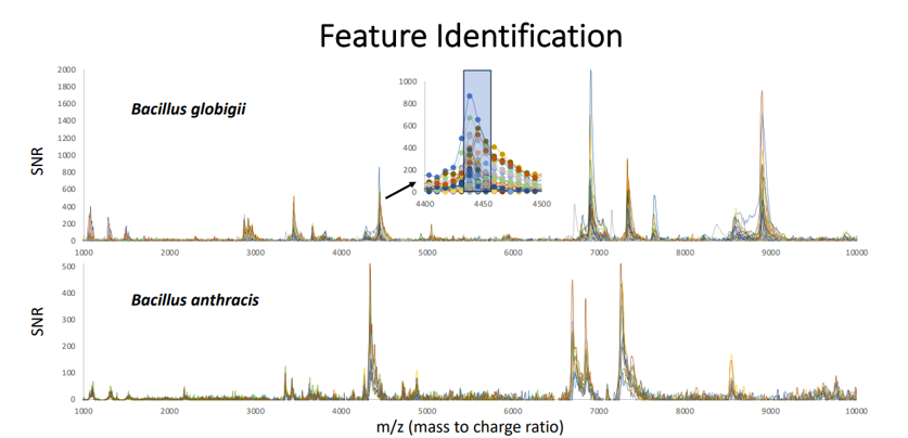 Feature Identification