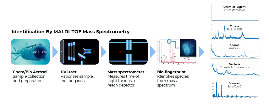 MALDI TOF Technology